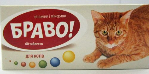 Bravo for cats
